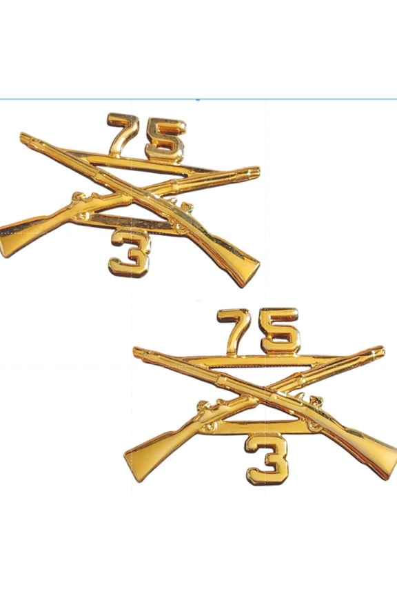 3rd Battalion 75th Ranger Regiment Infantry Crossed Rifles Novelty Lapel Pin Set