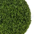 thumbnail image 1 of 3rd Street Inn Cypress Topiary Ball Extra Large 1 Pack - Cypress, 1 of 5