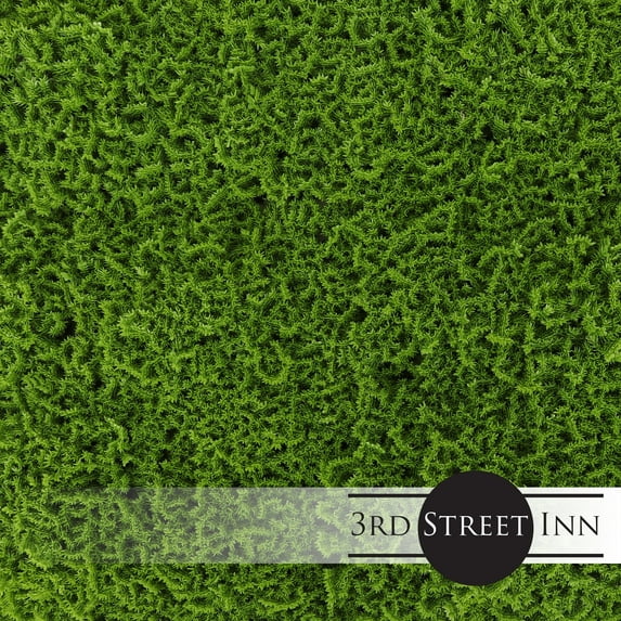 3rd Street Inn Artificial Plant Greenery Panel (12, Moss)