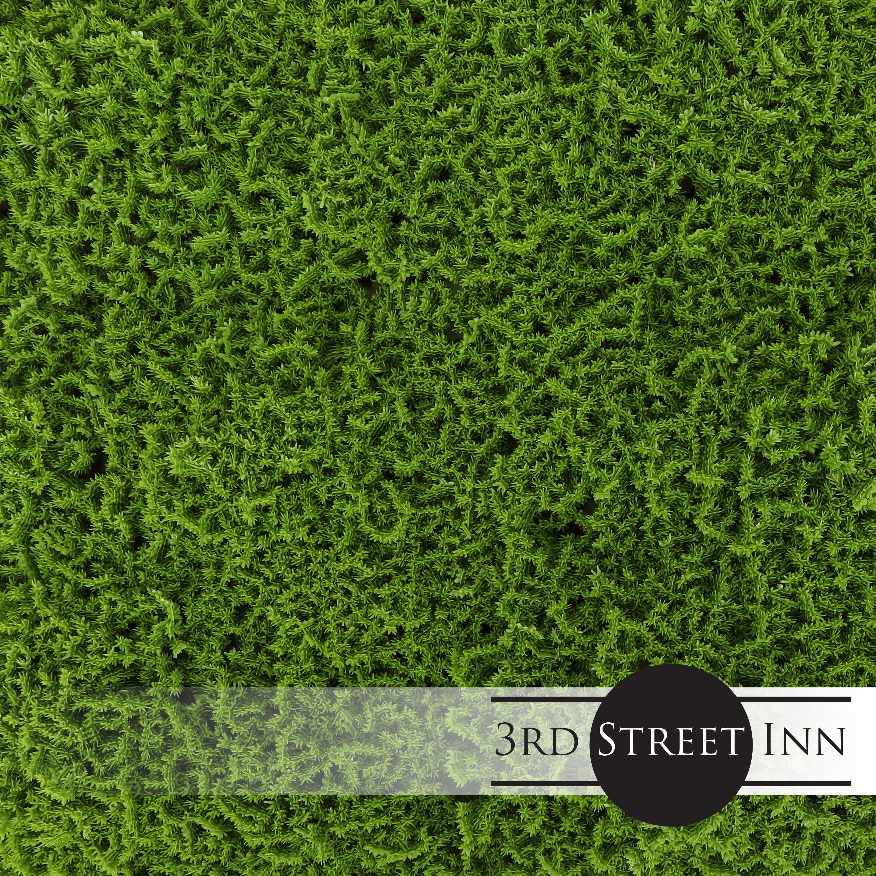 20'' x 20'' Green Faux Moss Privacy Panel