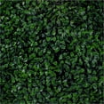 thumbnail image 1 of 3rd Street Inn Artificial Plant Greenery Panel - Boxwood - 2 Pack, 1 of 7
