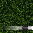 thumbnail image 1 of 3rd Street Inn Artificial Plant Greenery Panel - Golden Boxwood - 4 Pack, 1 of 6