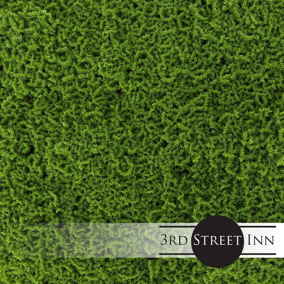 3rd Street Inn Artificial Plant Greenery Panel - Moss - 4 Pack