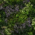 thumbnail image 1 of 3rd Street Inn Tamarisk Moss Greenery Panels - 12 Pack, 1 of 5