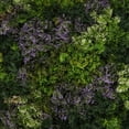 thumbnail image 1 of 3rd Street Inn Tamarisk Moss Greenery Panels - 4 Pack, 1 of 5