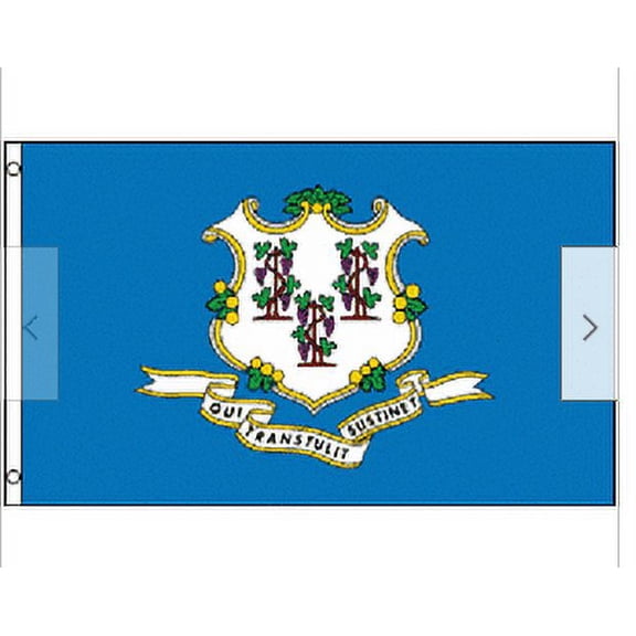 3x5 Connecticut Flag 3'x5' House Banner grommets super polyester