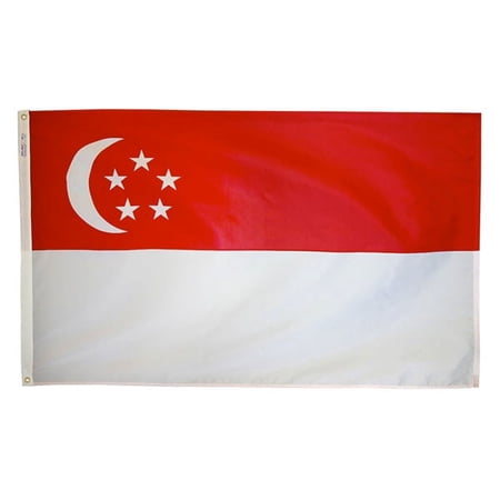 3x5' DURAWAVEZ SINGAPORE NYLON FLAG CH&G