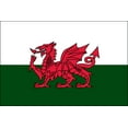 thumbnail image 1 of 3x5 Foot (90x150 cm) Wales International Polyester Indoor/Outdoor Flag, 1 of 1