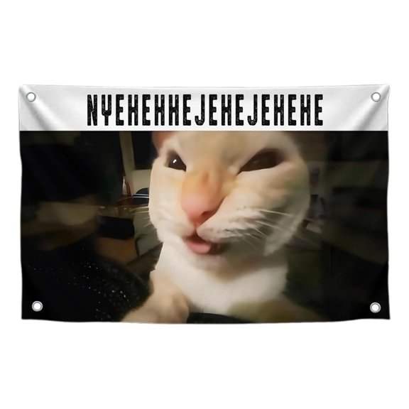 3x5 Ft Funny Cat Meme Flag with Brass Grommets - Polyester Wall Decor for Home or Outdoor Use