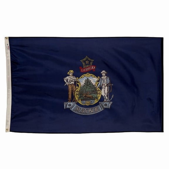 3x5' POLYWAVEZ MAINE POLY II FLAG CH&G