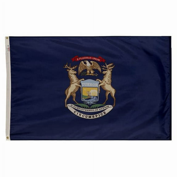 3x5' POLYWAVEZ MICHIGAN POLY II FLAG CH&G