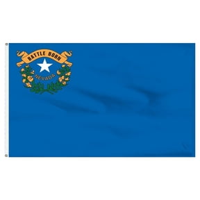 3x5 State of Nevada Flag 3'x5' House Banner Polyester Grommets Fade Resistant