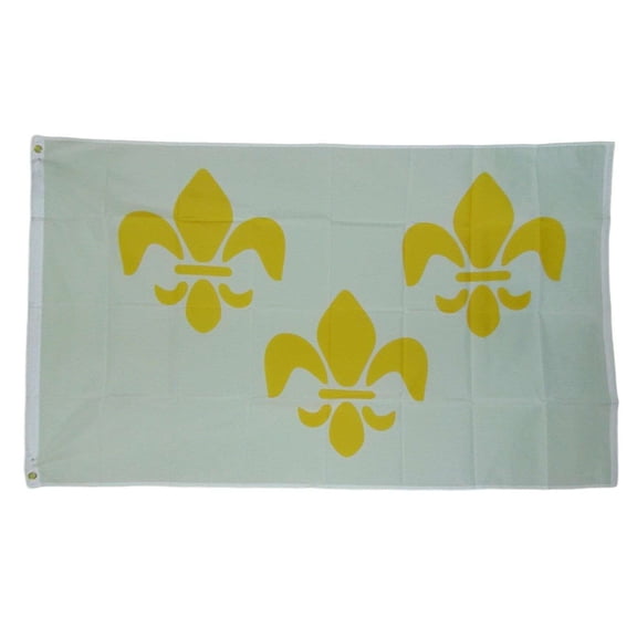 3x5 White 3 Fleur De Lis New Orleans French Flag 3'x5' House Banner