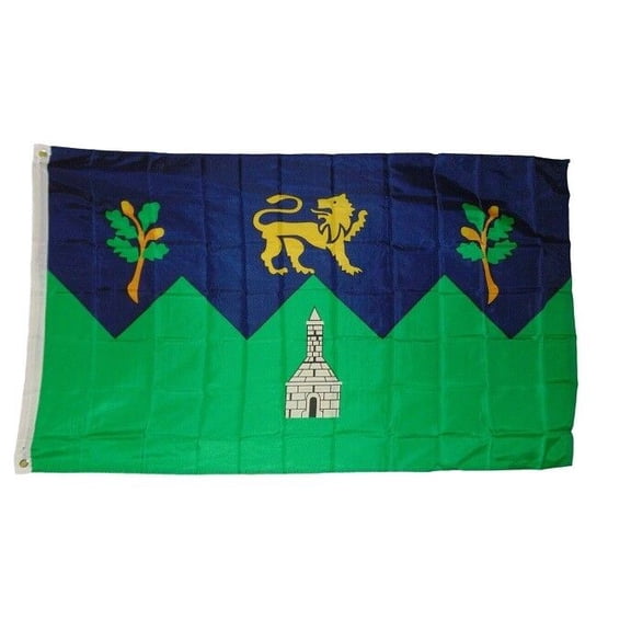 3x5 Wicklow County Irish Ireland Province Flag 3'x5' Banner Brass Grommets
