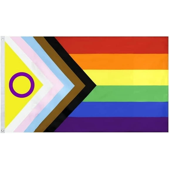 3x5FT Flag Updated Progress Pride Intersex Inclusive Gay Trans LGBTQ 100D