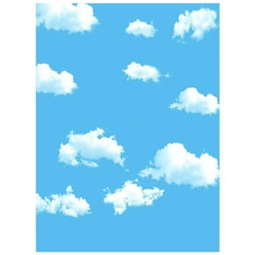 3x5ft Blue White Cloud Photography Backdrop Screen Background Props