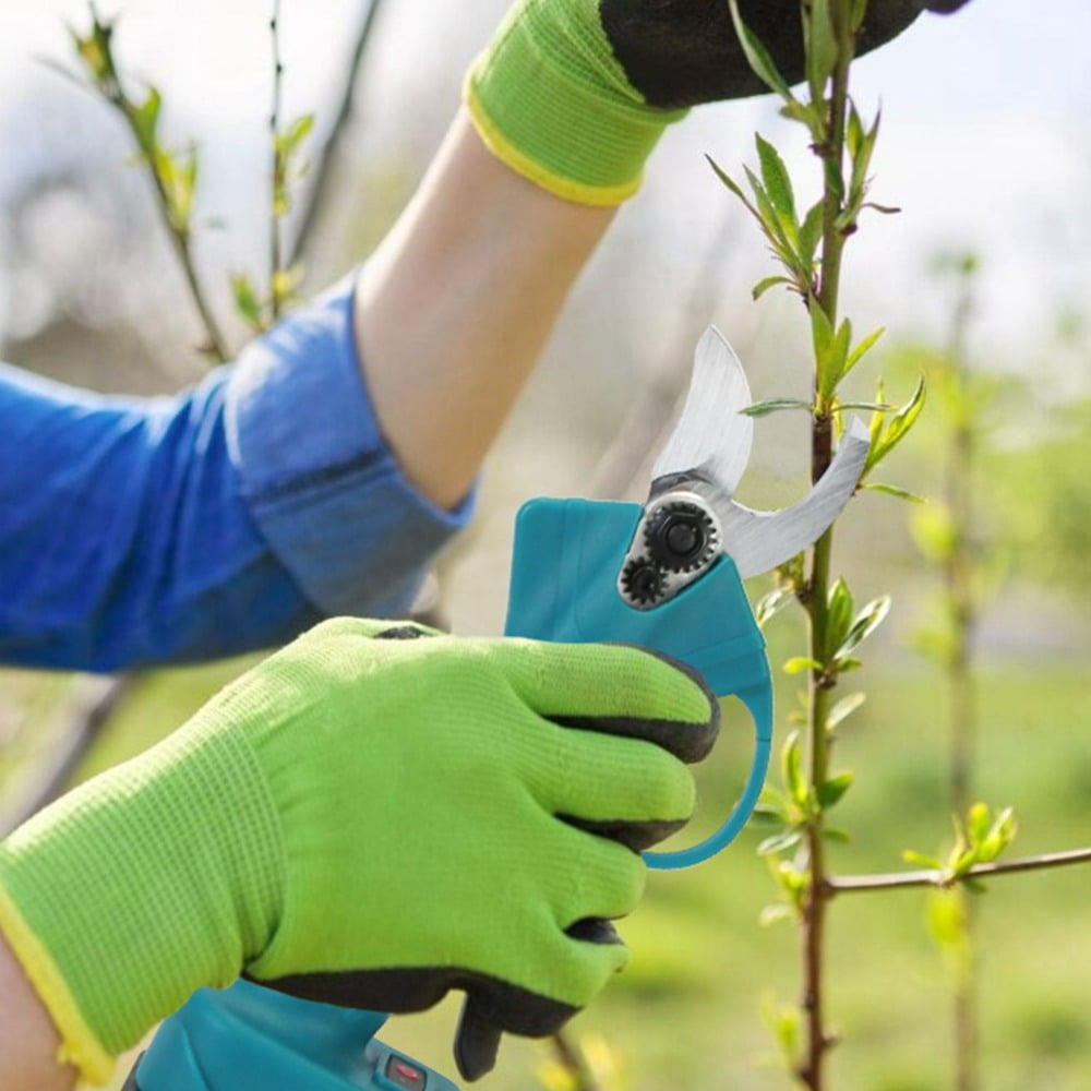 4 in 1 Cordless Pruning Shears and Electric Chain Saws with Maximum 5 ...
