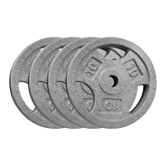 4 10 Lbs Cast Iron Weight Plates 1 Inch-Bumper Plates for Home Gym Strength Training Weightlifting Grey