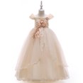 thumbnail image 1 of 4-14Y Girls Princess Dress Flower Embroidery Lace Pageant Dress Prom Ball Gown, 1 of 4
