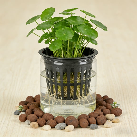 4.29 Inch Wide Mouthed Black Hydroponic Growth For Soilless Of Root Controlled Seedlings Flower Pots