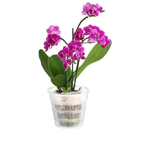 4.3 Inch Mesh Pot for Orchid Root Control and Breathable Growth, Plastic Flower Pot with Drainage Holes for Indoor Home Garden Plants in White(1Pc)