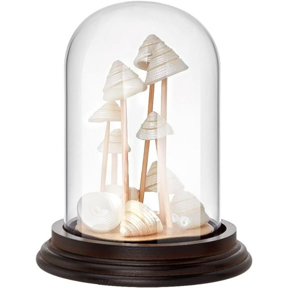 4.3x5.1 inch Cloche Glass Dome Display Glass Bell Jar with Wooden Base Decorative Clear Centerpiece Stand for Flower Storage Home Christmas Party Favor Decoration