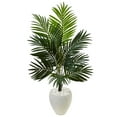 thumbnail image 1 of 4.5’ Kentia Palm Artificial Tree in White Oval Planter, 1 of 5