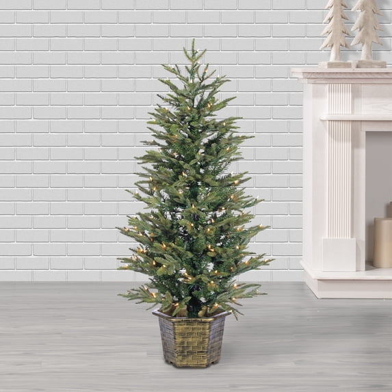4.5 ft. Pre Lit Clear UL Potted Natural Cut Eastern Pine