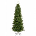 thumbnail image 1 of 4.5 ft. x 24 in. Salem Pencil Pine 90LED WmWht, 1 of 1
