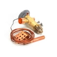 thumbnail image 1 of 4.5 in. Thermal Expansion Valve, 1 of 1