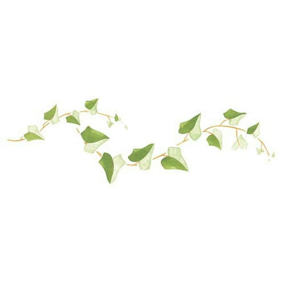 4.5 inch Ivy Border Wall Stencil SKU #101 by Designer Stencils