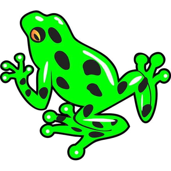 4.5inx4in Green Poison Dart Frog Bumper Sticker Decal Car Window Stickers Decals