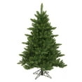 thumbnail image 1 of 4.5  x 37   Camdon Fir Tree 566 Tips, 1 of 1