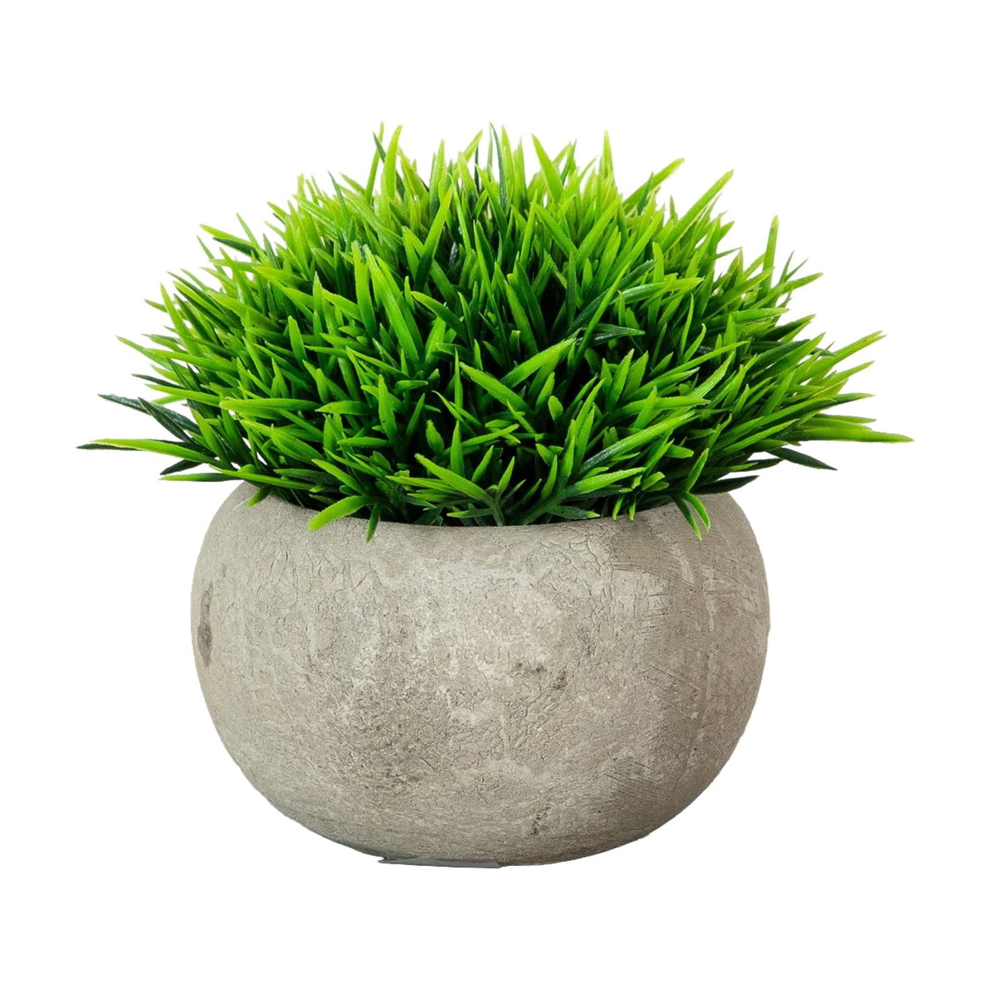 4.5in. Artificial Grass Plant in Cement Planter - Set of 2