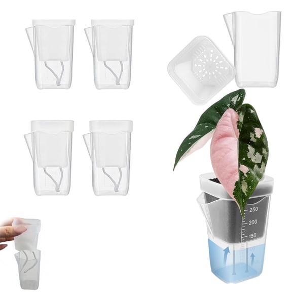4/6/10 Pack Clear Self Watering Pots, Drainage Holes & Water Level Indicator, Hydroponic Propagation Nursery Cups for Alocasia & Seedlings
