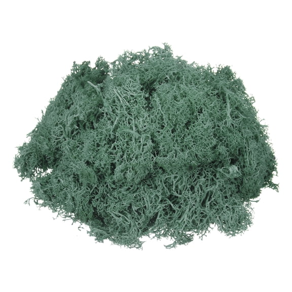 Uxcell 4.6oz Preserved Reindeer Moss Grass Green Decorative Artificial Fake Moss