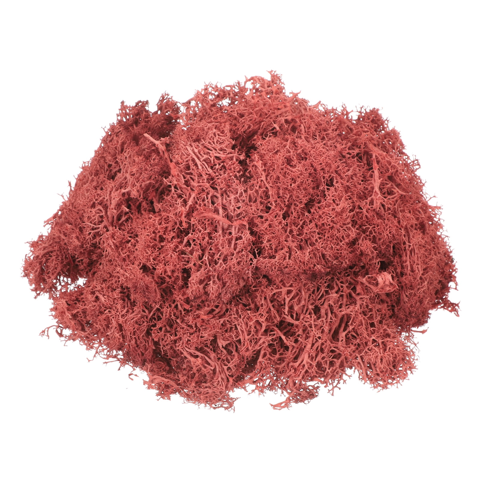 Preserved Reindeer Moss - Natural Decorative Moss For Home Decor & Crafts (Magenta, 3.5oz)