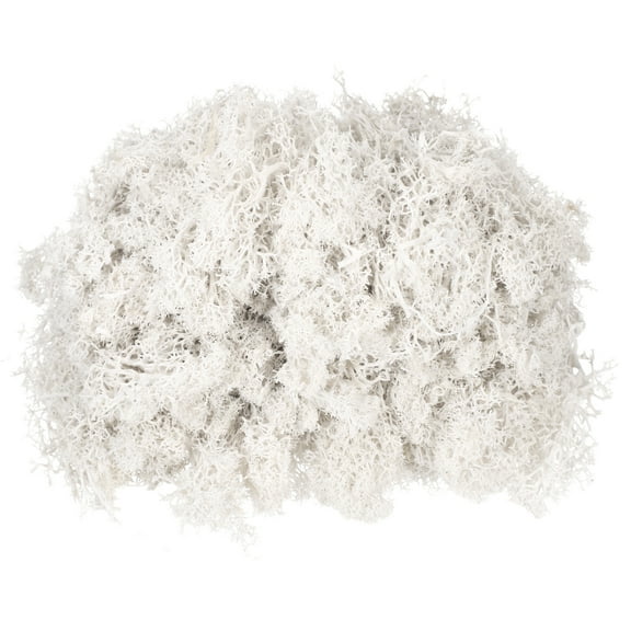 Uxcell 4.6oz Preserved Reindeer Moss White Decorative Artificial Fake Moss