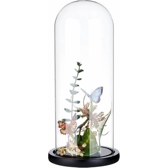 4.6x12inch Eternal Transparent Flower Glass Cover Glass Display Dome Cloche Jar with Black Solid Wood Base for DIY Flower Craft