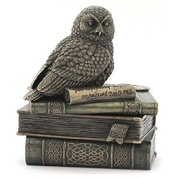 4.75 Inch Snow Owl on Books Decorative Trinket Box, Bronze Color