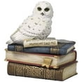 thumbnail image 1 of 4.75 Inch Snow Owl on Books Decorative Trinket Box, White Color, 1 of 1