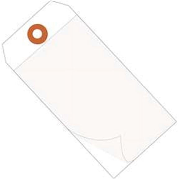 4.75 x 2.38 in. White Self-Laminating Tags - Case of 100