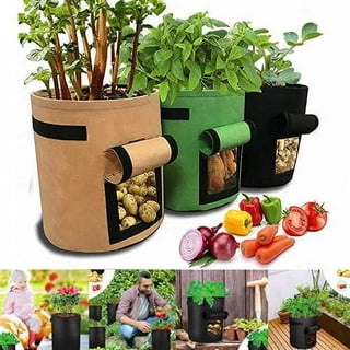https://i5.walmartimages.com/seo/4-8-Pack-Potato-Grow-Bags-Planter-Bag-5-7-10-Gallon-Garden-Bags-Vegetable-Fabric-Planting-Pots-Handles-Access-Flap-Breathable-Nonwoven-Growing-Gags_341571fc-5597-4cc9-b58e-c71954025891.4f80d20d9a4c6a275b065e28486bb24a.jpeg?odnHeight=320&odnWidth=320&odnBg=FFFFFF
