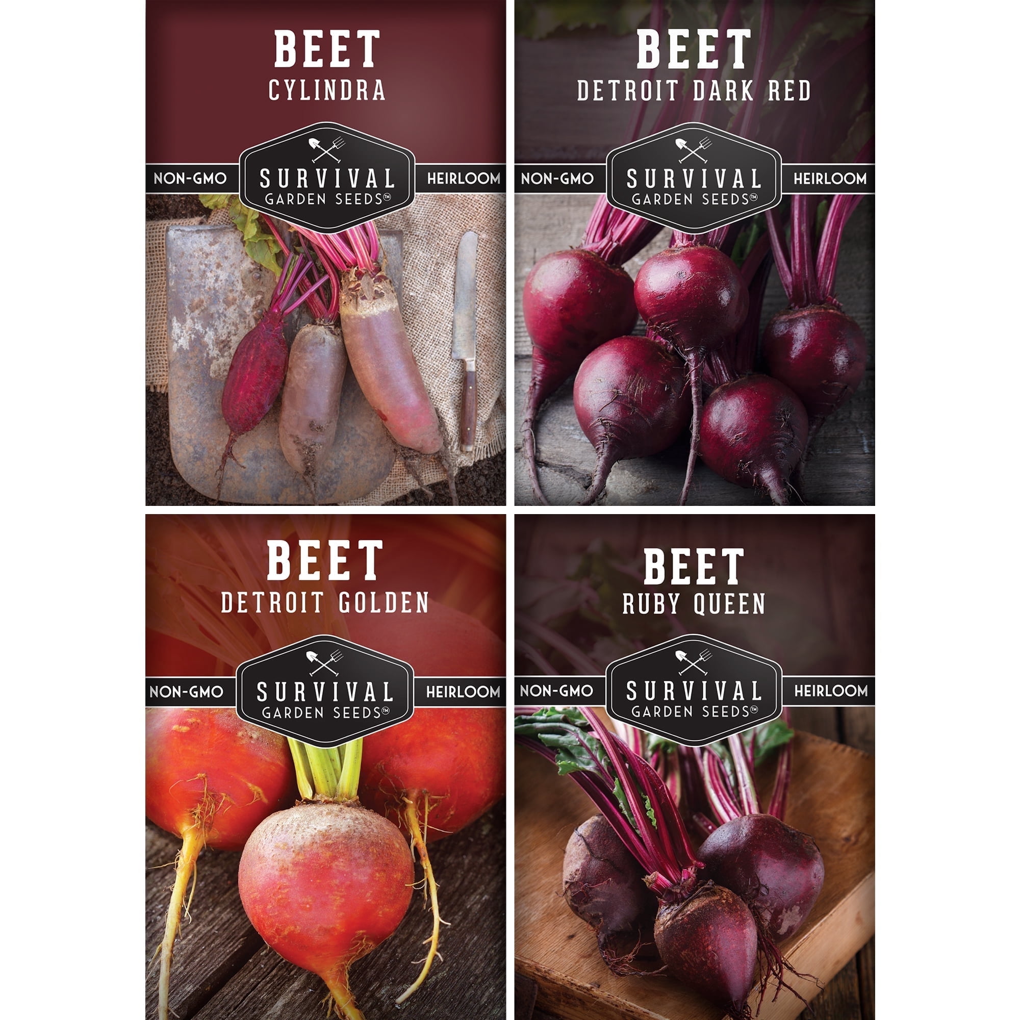 Survival Garden Seeds, Beet Seeds, 4 Pack, Heirloom Full Sun Biennial ...