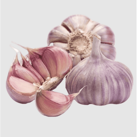 4 Bulbs Peruvian Purple Stripe Garlic for Planting, Hardneck Garlic Bulbs for Planting Home Vegetable Garden