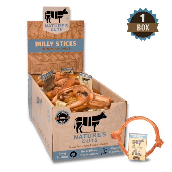 4" Bully Rings Display Box