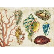 4 Cala Home Premium Hardboard Placemats Table Mats, by The Shore