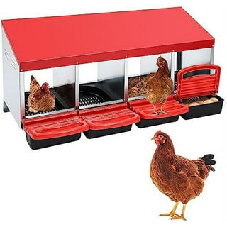 Homestead Essentials 3 Compartment Roll Out Nesting Box for Chickens | for  Up to 15 Hens | Heavy Duty Chicken Coop Nesting Box with Lid Cover to