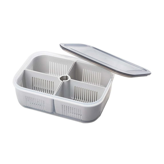 4 Compartment Snack Storage Container for Fridge, Airtight & Leak-Proof Food Organizer Box, Clear Plastic Divider Tray for Fruits, Vegetables, and More