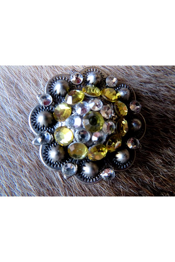 4 Conchos Rhinestone Bling Horse Saddle Bridle Tack Western Berry Concho CO366